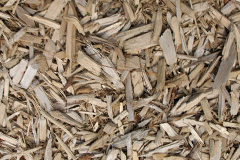 biomass boilers Dury
